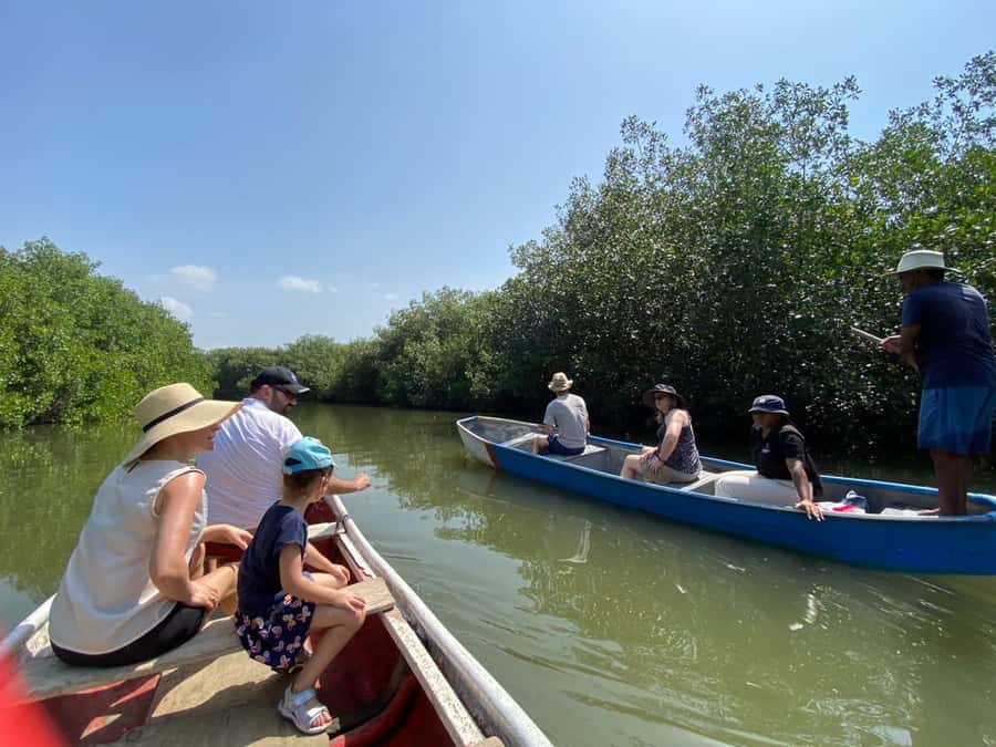 Cartagena: Mangrove Eco Tour & Fishing with Transportation - Fisherman Island and the community connection