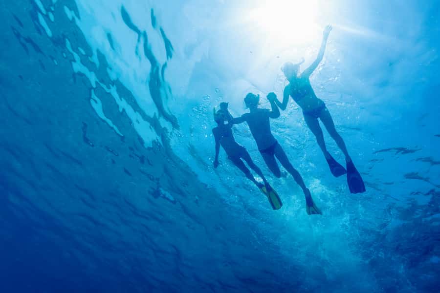 Cartagena: Snorkel, Mangroves and Playa Blanca Tour - Key points to know before booking