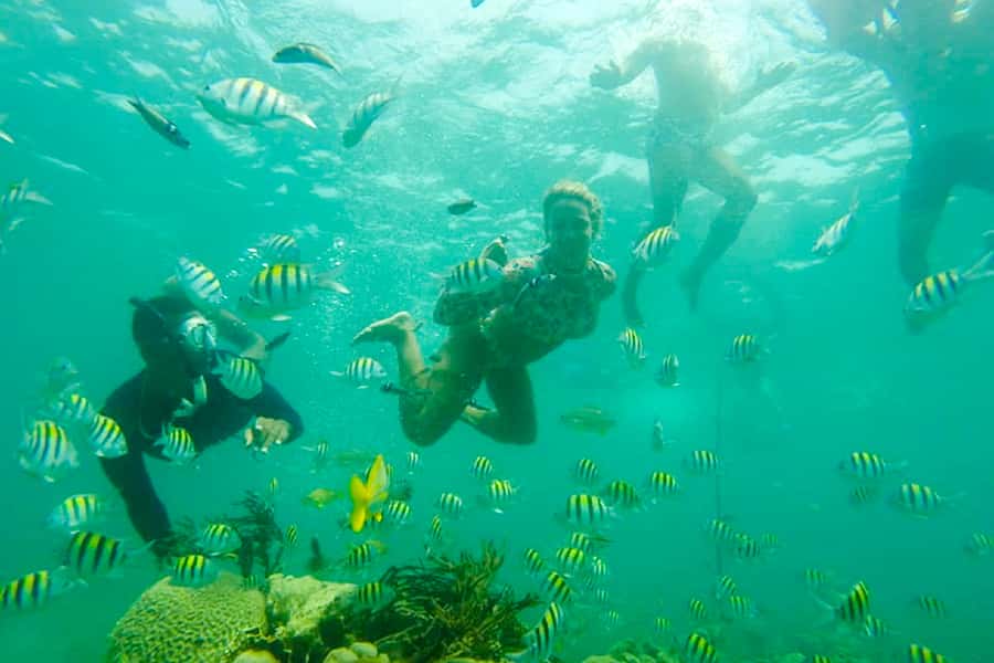 Cartagena: Snorkel, Mangroves and Playa Blanca Tour - Who should book this Baru outing