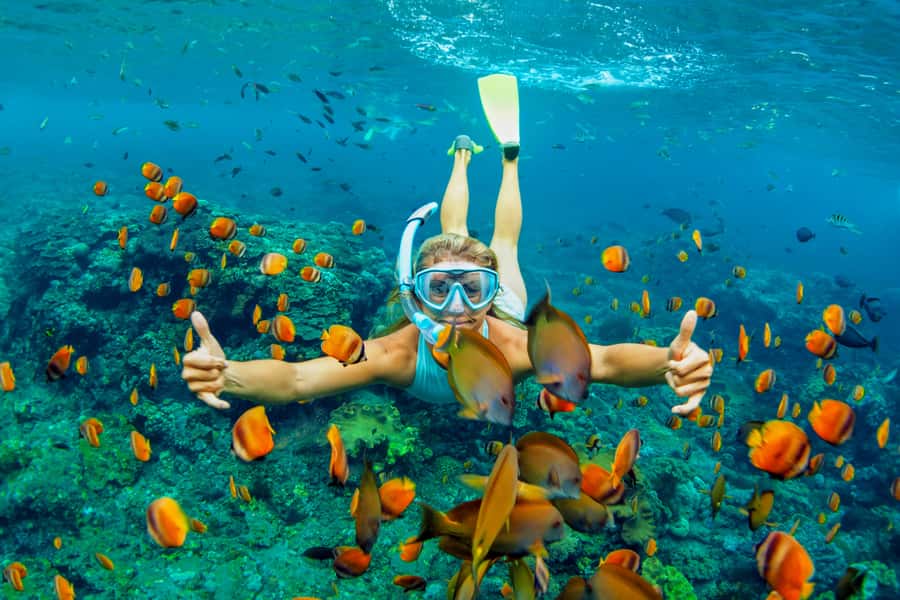 Cartagena: Snorkel, Mangroves and Playa Blanca Tour - From Cartagena to Baru by bus