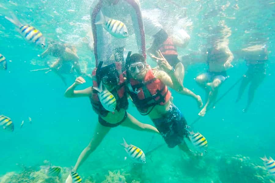 Cartagena: Snorkel, Mangroves and Playa Blanca Tour - Snorkeling above coral and fish