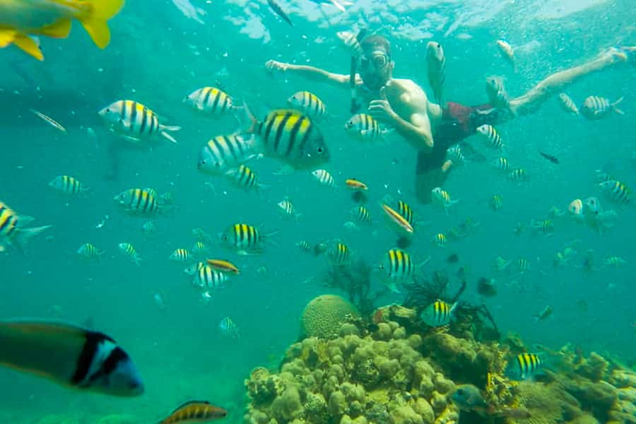 Cartagena: Snorkel, Mangroves and Playa Blanca Tour - Through the mangrove channels
