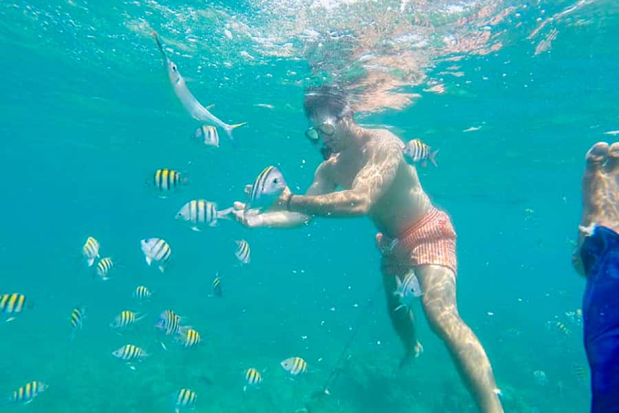 Cartagena: Snorkel, Mangroves and Playa Blanca Tour - Lunch with a choice of fish, chicken, or vegetables