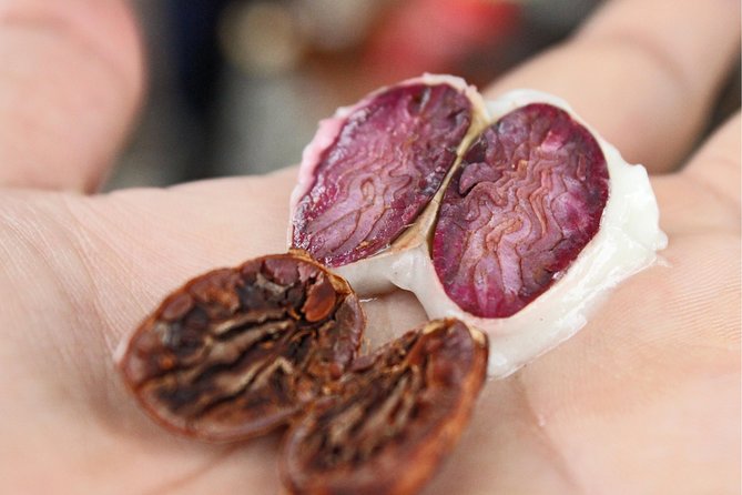 Cocoa farm and Chocolate making! - Walking through the cacao grove