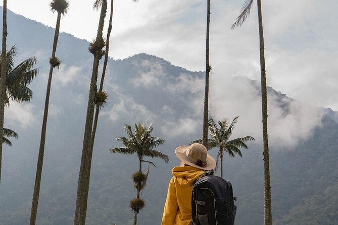 Cocora Valley and Salento Hike Tour - Walking Among the Wax Palms