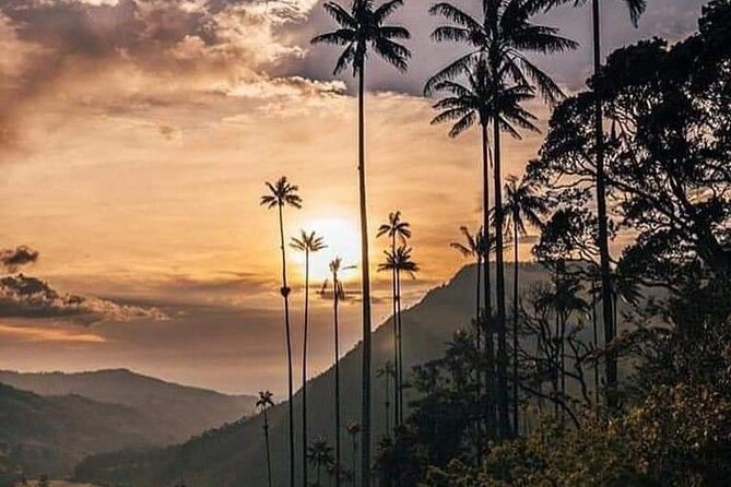 Cocora Valley and Salento Hike Tour - What the Guides Add to the Day