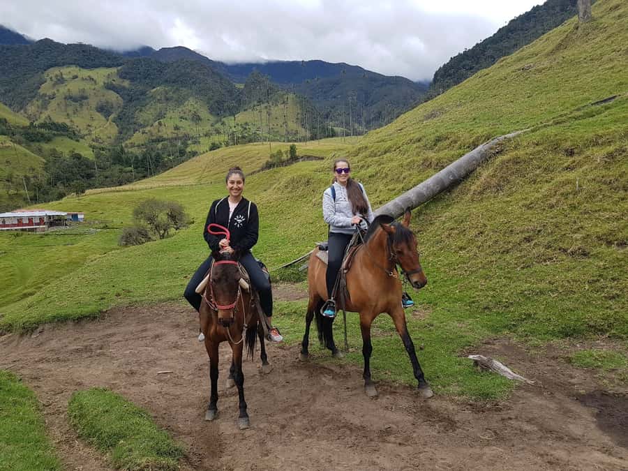 Cocora Valley: Salento & Private Horseback Riding Tour - Why this tour works for Cocora Valley
