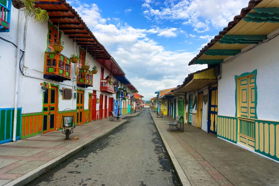 Cocora Valley: Salento & Private Horseback Riding Tour - Cocora Valley and the wax palms