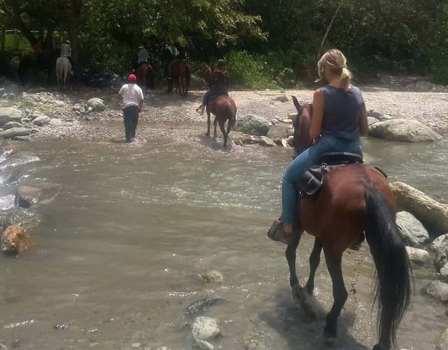 Cocora Valley: Salento & Private Horseback Riding Tour - Who should book this horseback tour?