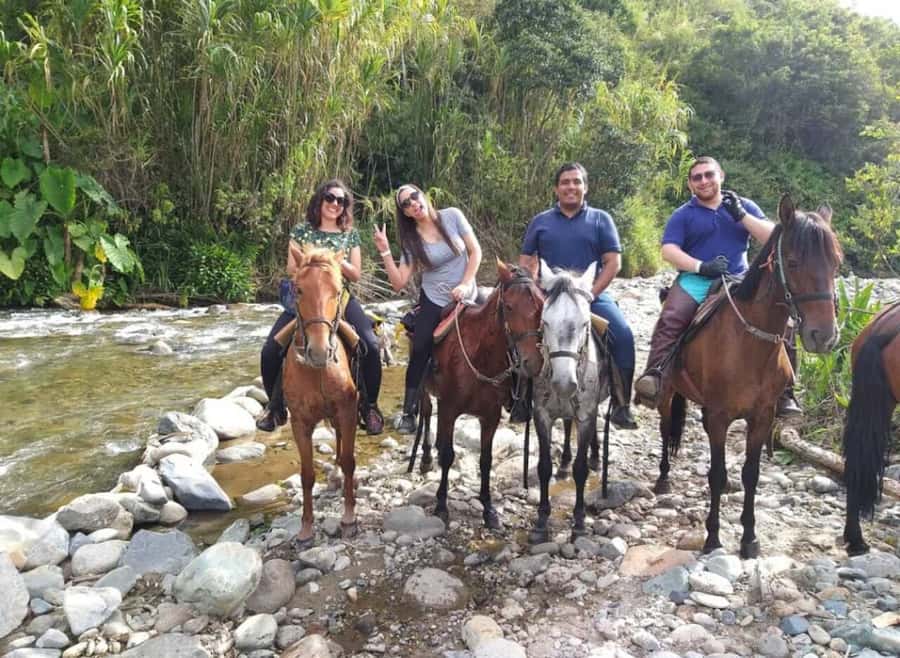 Cocora Valley: Salento & Private Horseback Riding Tour - Should you book it?
