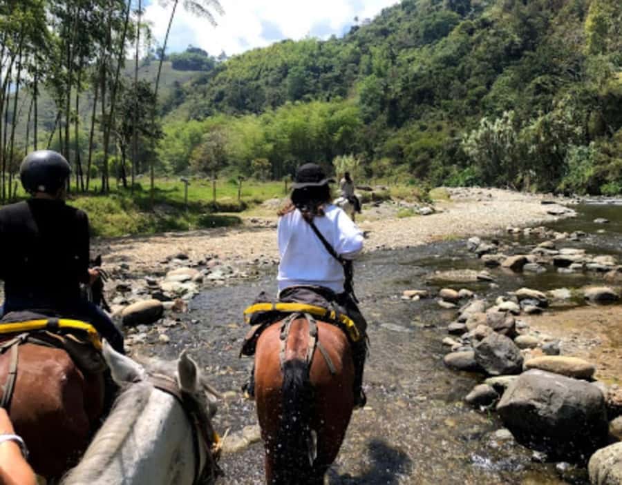 Cocora Valley: Salento & Private Horseback Riding Tour - Starting in Salento with a horse beneath you