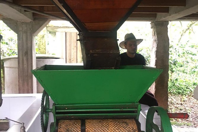 Coffee Farm Experience Private Day Tour - The private-tour advantage