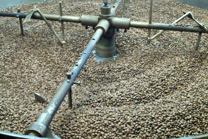 Coffee Farm Experience Private Day Tour - Following coffee from seed to cup