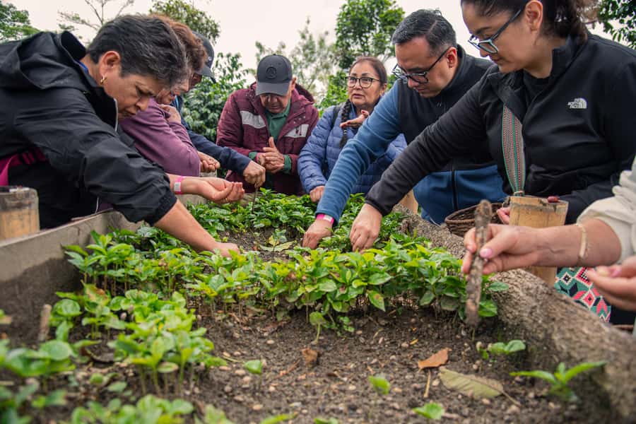 Coffee Tour at Finca El Ocaso Salento: Traditional Spanish Farm - From coffee seed to the first cup