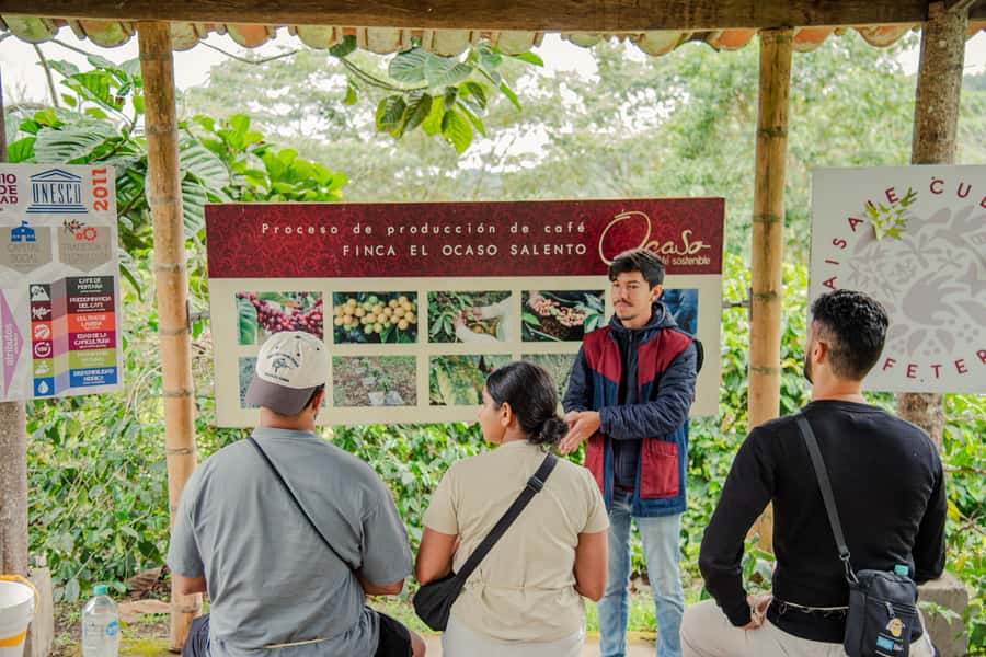 Coffee Tour at Finca El Ocaso Salento: Traditional Spanish Farm - Language, timing, and who should book