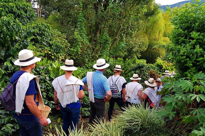 Coffee Tour at the Finca del Café - Guides Daniel, Jose, and the value of local explanation