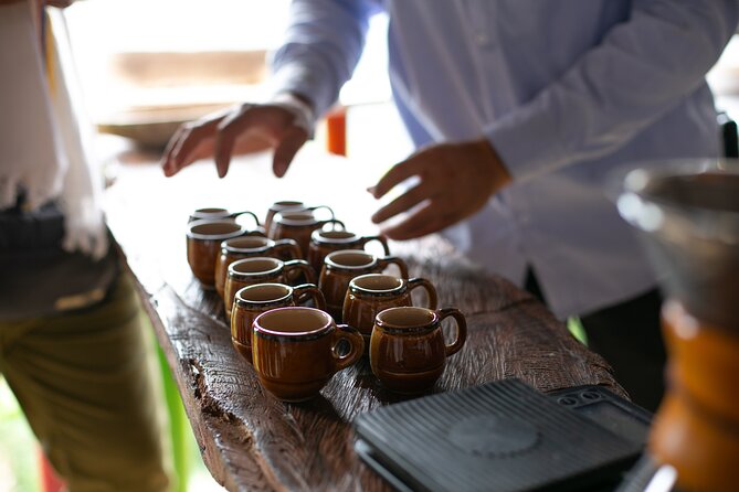 Coffee Tour with arrival on horseback and sugar cane processing - Coffee education that goes beyond a quick tasting