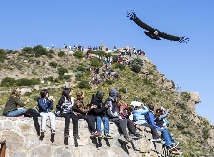 Colca Canyon: 2-Day Tour from Arequipa to Puno - Why this route makes sense