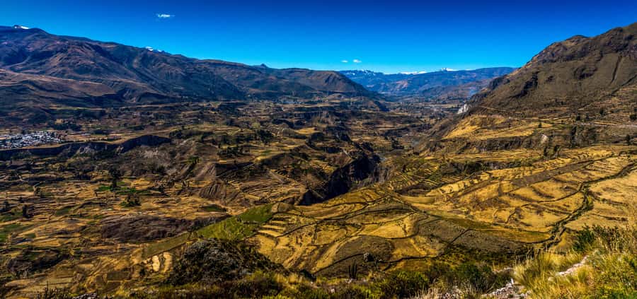 Colca Canyon: 2-Day Tour from Arequipa to Puno - Day two, the condors of Cruz del Condor