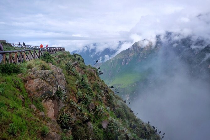 Colca Canyon Plus - Lunch in Chivay and the return to Arequipa