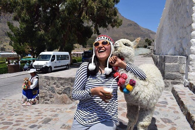 Colca Full Day - Condor views and the value of the route