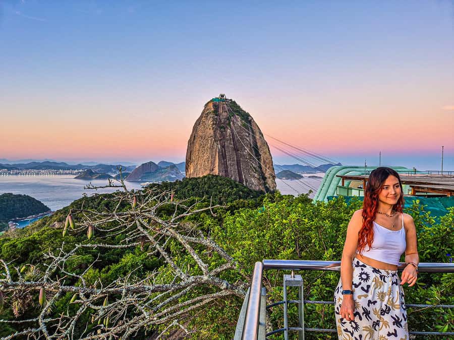 Corcovado, Sugarloaf Mountain, and Selarón Steps 6-Hour Tour - What the guide adds to the day
