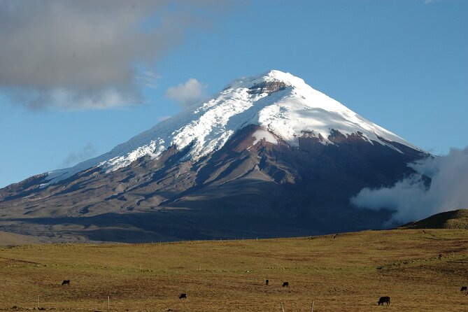 Cotopaxi Volcano Quest! - Lunch comes at the right time