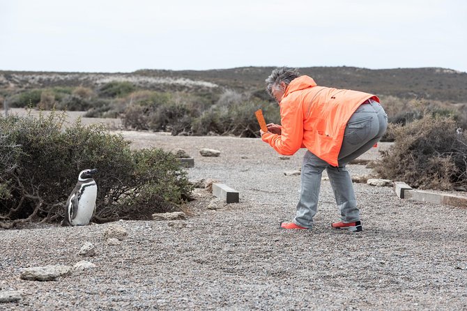 Cruise Shore Excursion Ea San Lorenzo Peninsula Valdes - Patagonia - Argentina - San Lorenzo estancia: penguins first, ranch second