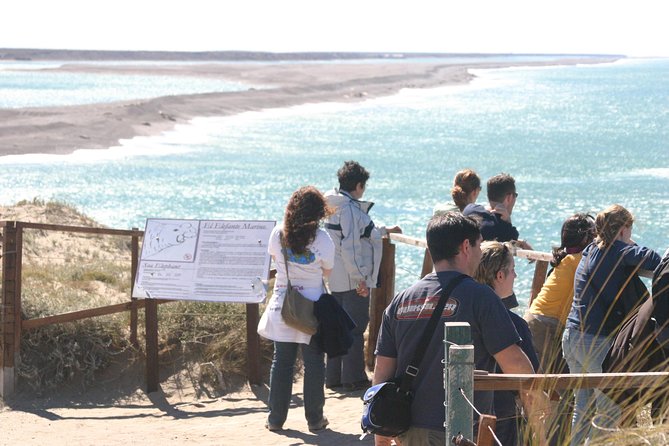 Cruise Shore Excursion Peninsula Valdes - Pto Madryn - Patagonia - Argentina - The optional-feeling bonus of sea lions
