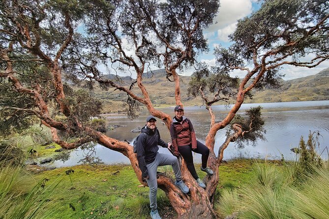 Cuenca to Guayaquil one-way tour with Cajas Park and a Cacao Farm visit - Laguna La Toreadora and Cajas National Park