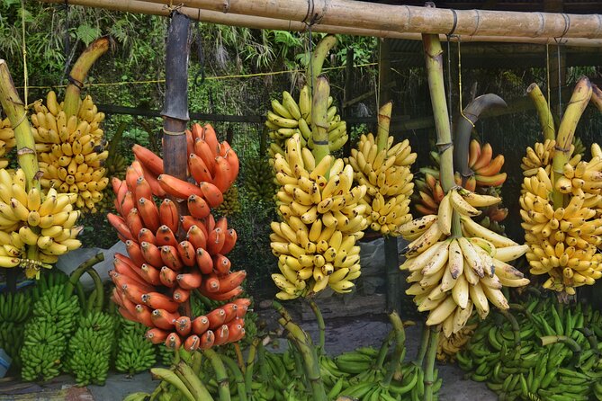 Cuenca to Guayaquil one-way tour with Cajas Park and a Cacao Farm visit - Lunch at Mestizo Restaurant