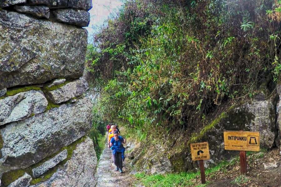Cusco: 4-Day Inca Trail to Machu Picchu with Accommodation - Day 2: Coffee, Qhapaq Ñan, and Cocalmayo