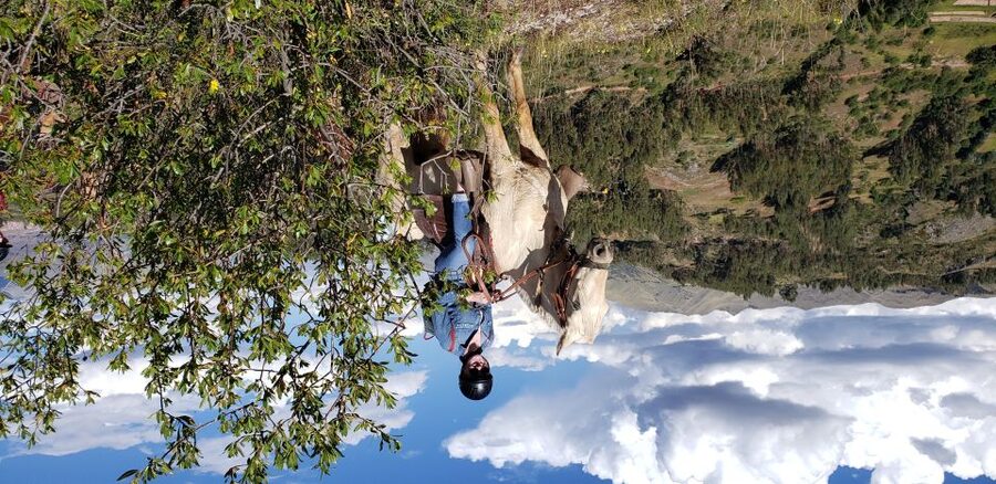 Cusco: Half-Day Horseback Riding at Devil's Balcony - Who will get the most from this Cusco excursion?