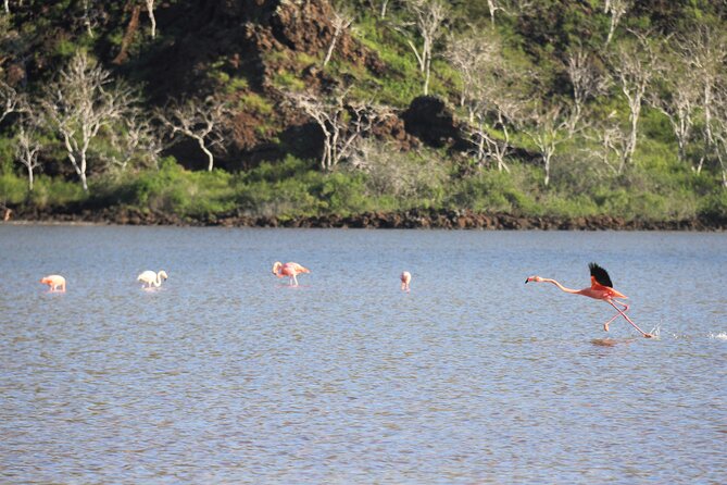 Day Tour to Floreana Island with Snorkeling and Fishing - Why Floreana makes a rewarding day from Santa Cruz