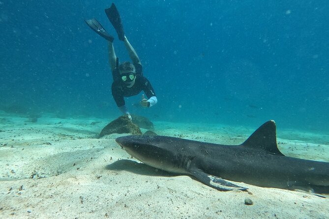 Day Tour to Santa Fe Island and Hidden Beach with snorkeling and fishing - Santa Fe in 45 to 55 minutes from Puerto Ayora