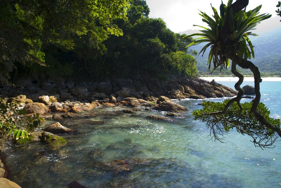 Day Tour to Trindade: Nature and Sea Adventure from Paraty - What the $37 price really covers