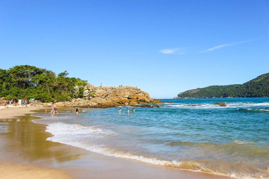 Day Tour to Trindade: Nature and Sea Adventure from Paraty - Who should book this Trindade outing