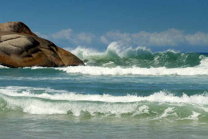 Discover Florianópolis: Full Day City Tour and Local Highlights - Timing, walking, and the full-day question