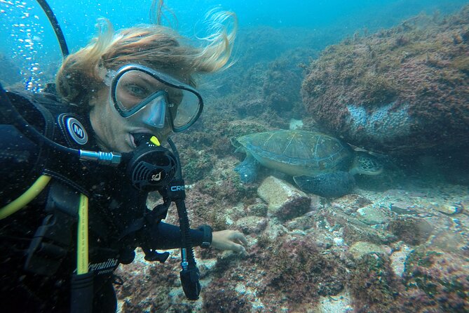 Diving with Turtles in Floripa - Meeting turtles near Xavier Island