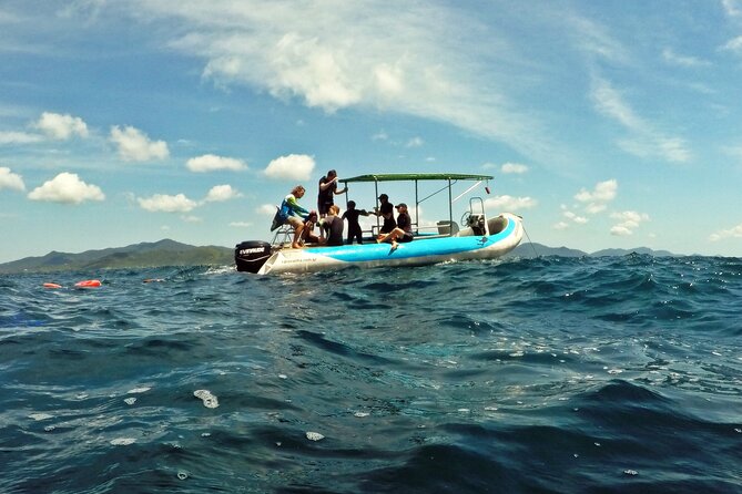 Diving with Turtles in Floripa - The Barra da Lagoa setting