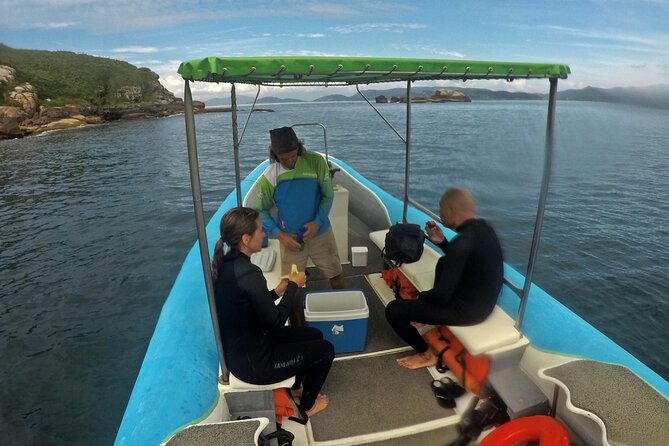Diving with Turtles in Floripa - What the $97.82 price includes