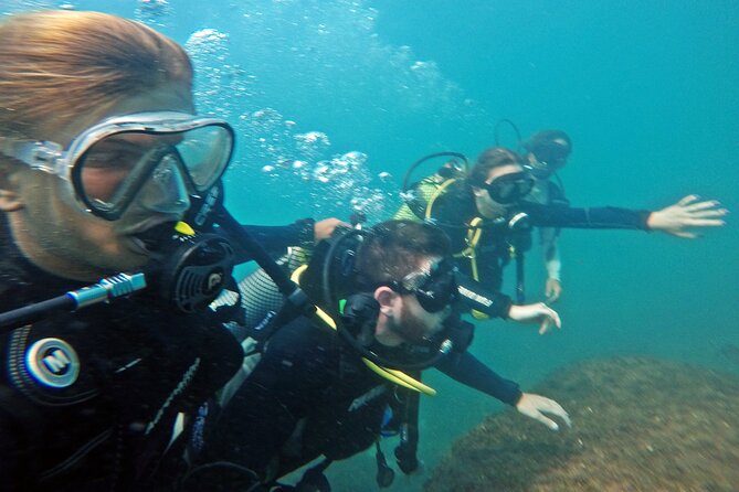 Diving with Turtles in Floripa - Group size, equipment, and comfort