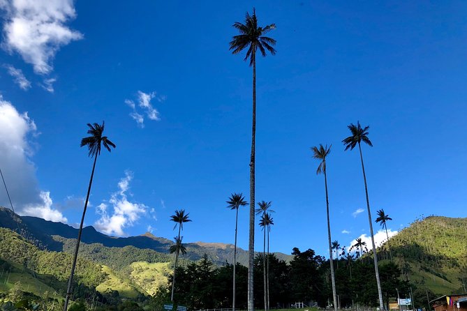 Do it yourself 11 days tour in Colombia (customizable) - A smart Colombia route, with little planning work
