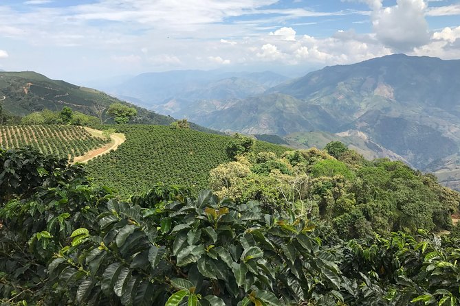 Do it yourself 11 days tour in Colombia (customizable) - Guatapé rewards the climb