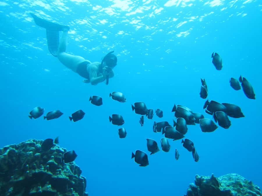 Easter island: Snorqueling tour on coral reefs - From Hanga Roa to the coast in 30 minutes