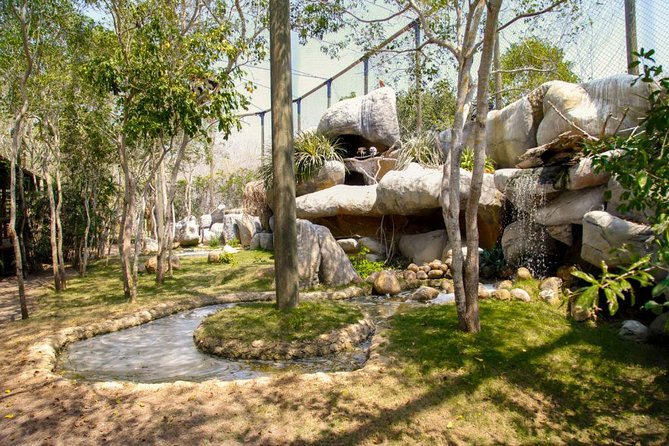 Eco Plan National Aviary and Lunch in Playa Mambo Beach Barú - Walking the aviary for two hours