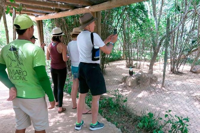 Eco Plan National Aviary and Lunch in Playa Mambo Beach Barú - Guides, group size, and communication