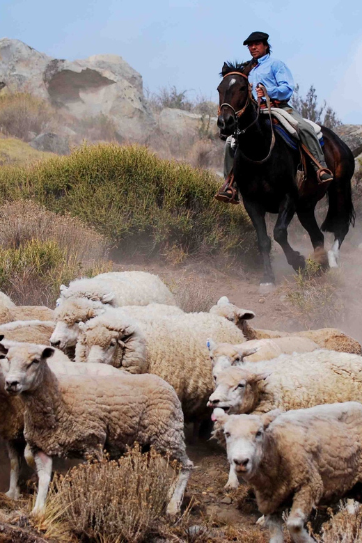 El Calafate: Estancia 25 de Mayo Tour with Dinner & Transfer - The organic garden and the food behind dinner