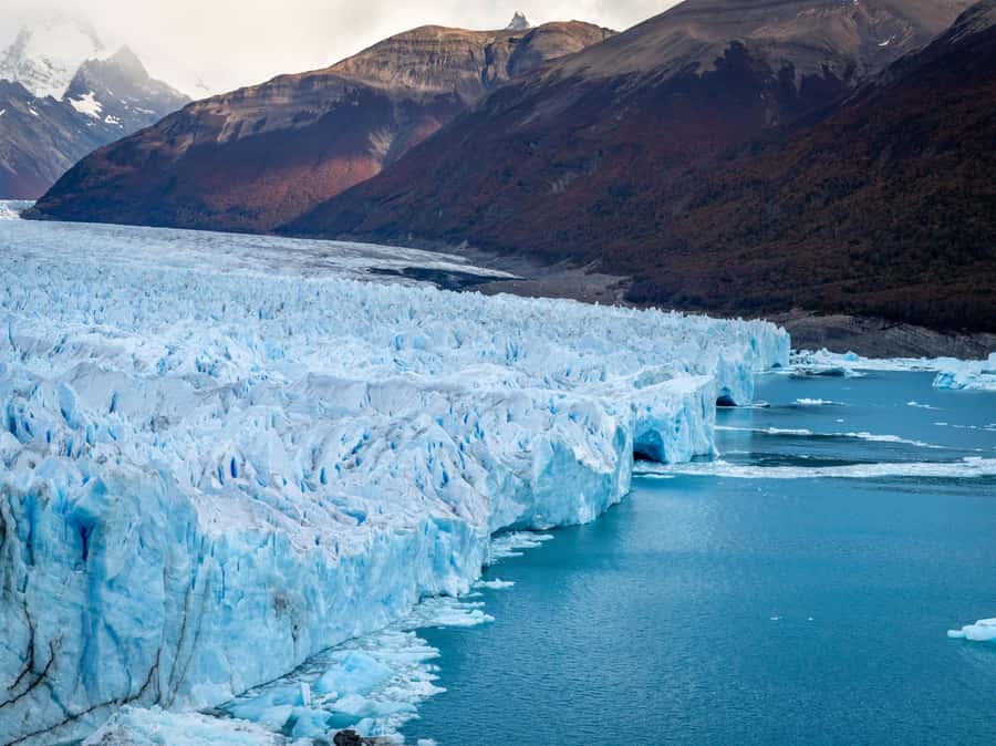 El Calafate: Perito Moreno Glacier, Boat Cruise & Glaciarium - Key points to know before booking