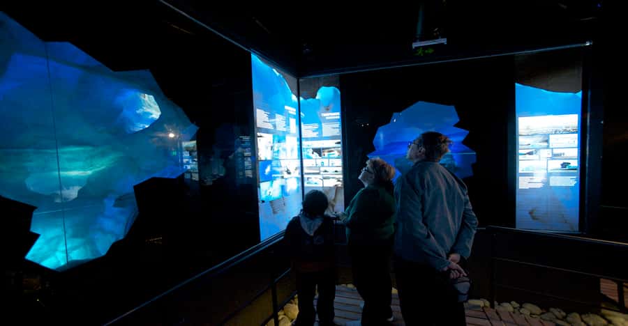 El Calafate: Perito Moreno Glacier, Boat Cruise & Glaciarium - Who will get the most from this outing